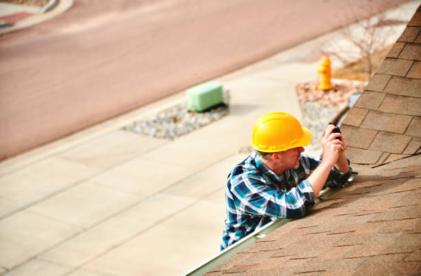 Best Roof Moss and Algae Removal  in Hawley, PA